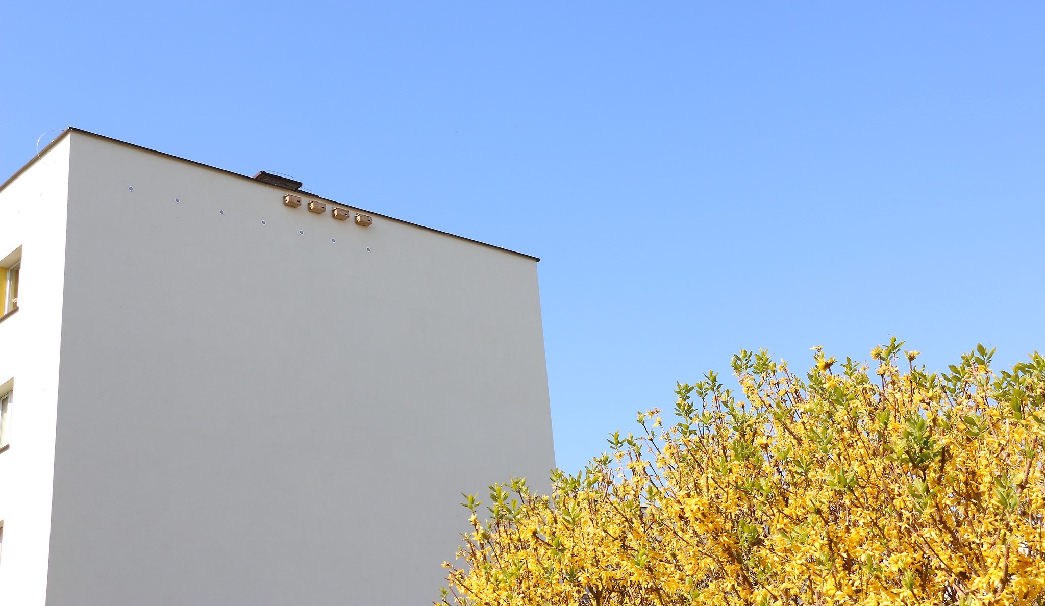 Budki lęgowe dla jerzyków zawieszone na ścianie budynku