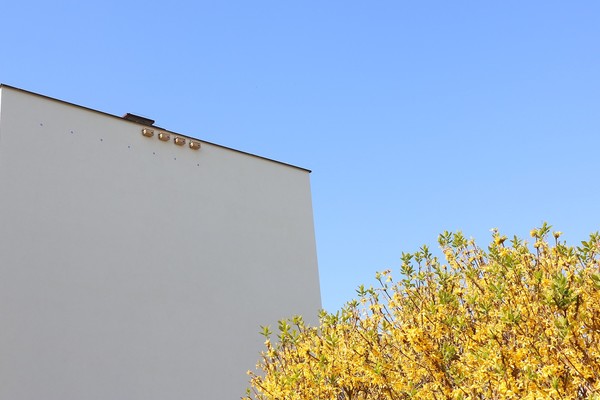 Budki lęgowe dla jerzyków zawieszone na ścianie budynku