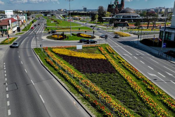 Zdjęcie ulicy Żelaznej z kwitnącymi tulipanami i żonkilami w pasie zieleni, w tle Dworzec Autobusowy
