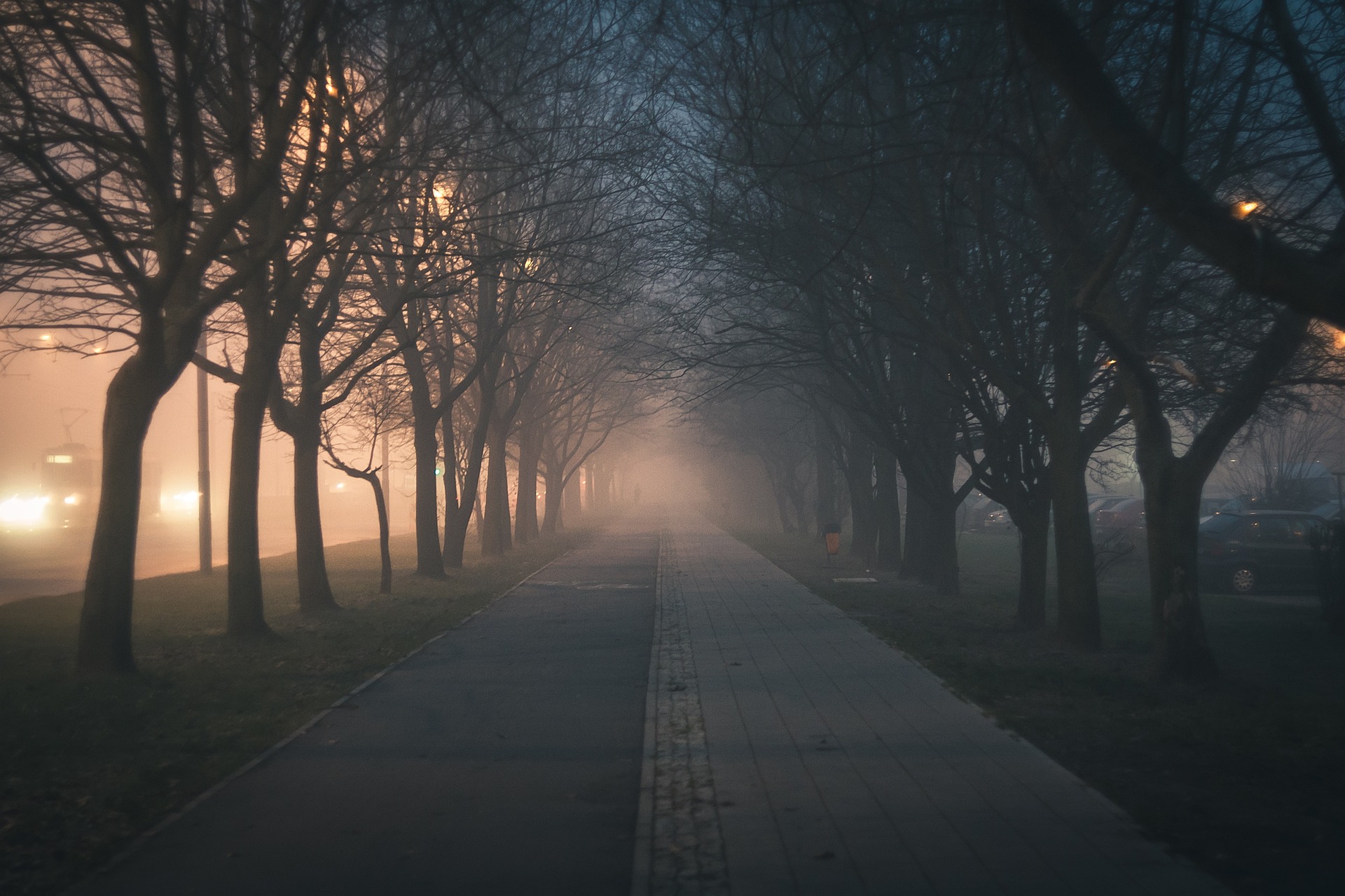 zdjęcie poglądowe; mgła w mieście; na zdjęciu chodnik i drzewa po obu stronach