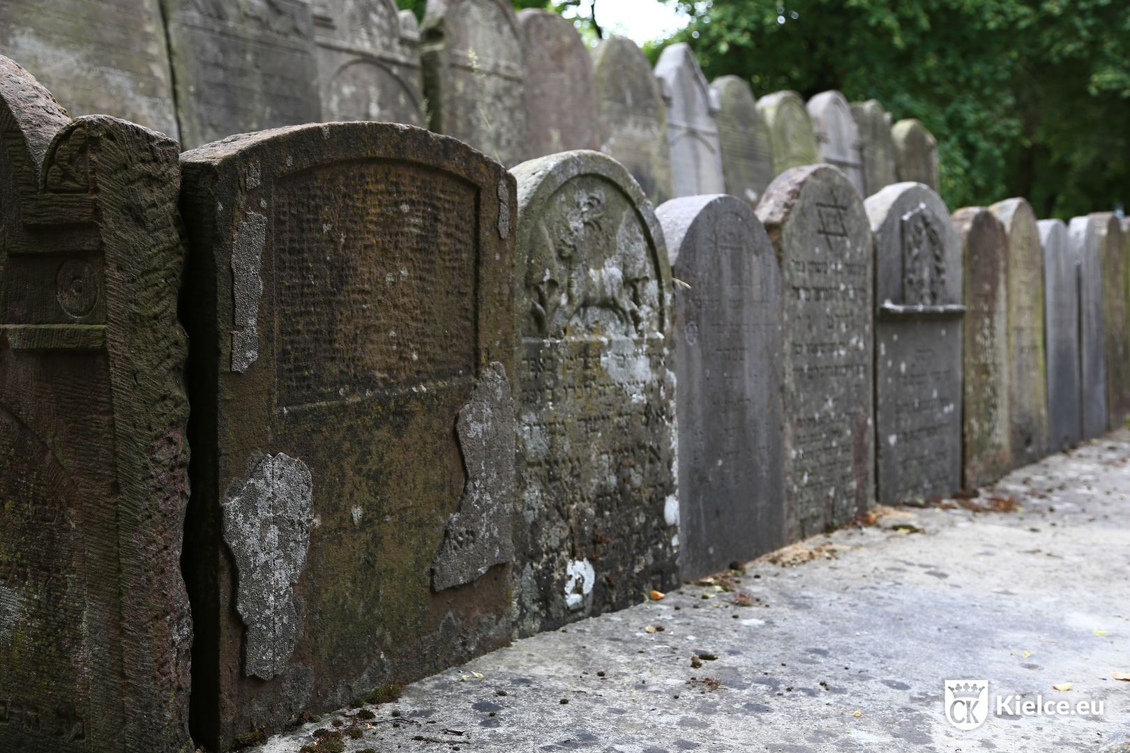 macewy na cmentarzu żydowskim