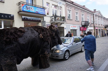 Mamut na ulicach Kielc