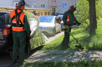 Rozpoczyna się pierwsze wiosenne koszenie traw w Kielcach