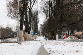Trwa budowa drogi dla rowerów w ciągu ul. Krakowskiej