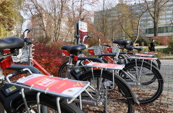 Kielczanie chętnie korzystają z miejskiej wypożyczalni rowerów